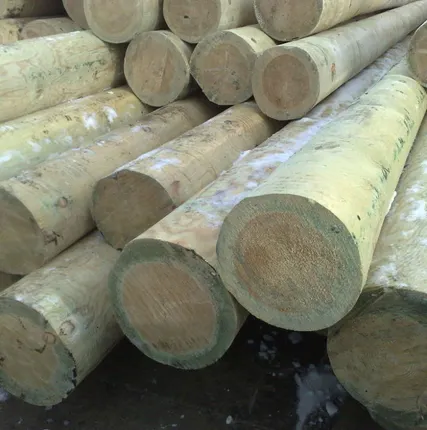 Фото №0 Деревянные ОПОРЫ (столбы) ЛЭП.