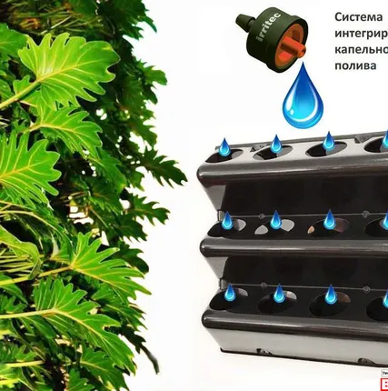 Фото №0 Фитомодуль закрытого типа «BOXSAND 12»