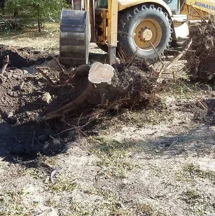 Фото №0 Корчевание пней