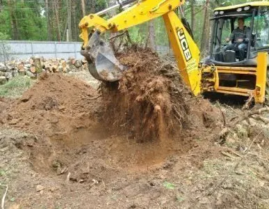 фото Вывоз мусора.