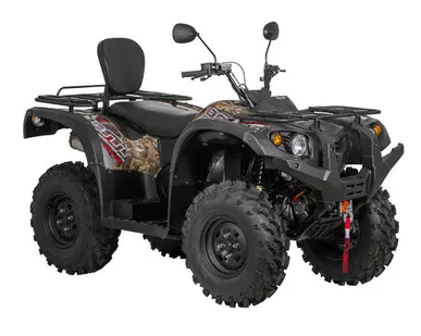 фото Квадроцикл BALTMOTORS ATV 700 EFI