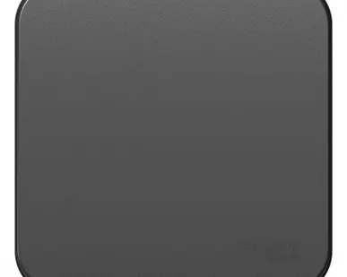 фото Переключатель проходной 1-кл. ОП Blanca 10А IP20 (сх. 6) 250В с изолир. пластиной антрацит SE BLNVA106016