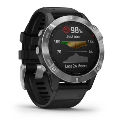 Фото №0 Часы Garmin Fenix 6S серебристые с черным ремешком