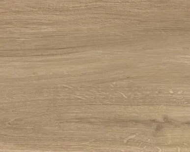 фото 32877 Керамогранит 20х120 Evolution ceramic Life Miele (Royal Dark)