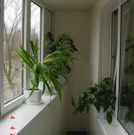 Фото №0 Балкон внутренняя обшивка