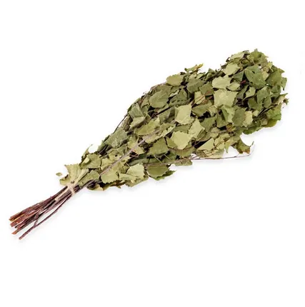 Фото №0 Веник березовый (в упаковке, арт. БШ 03647)