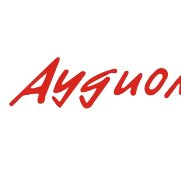 Аудиомобиль