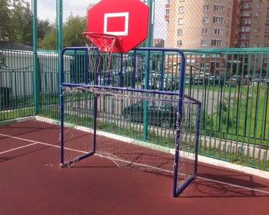 фото Хоккейные ворота со стритбольным щитом