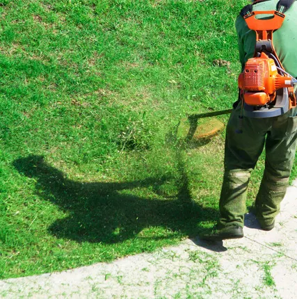 Фото №0 Сезонное
 обслуживание газона (стрижка, удобрения, прополка)