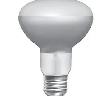 фото Лампа зеркальная R63 60Вт E27 Philips