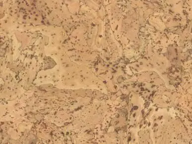 фото Клеевая пробка CorksRibas