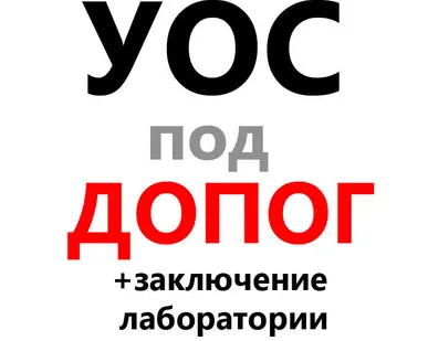 фото Устройство Ограничения Скорости + заключение лаборатории для ДОПОГ