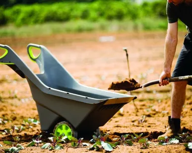 фото Тачка-тележка RealBarrow 100 л