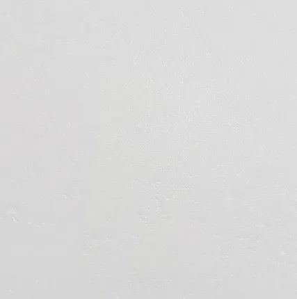 Фото №0 Керамический гранит EMIGRES Riga 600х600 White