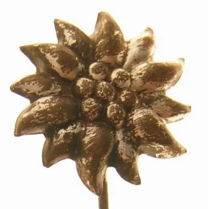 Фото №0 Альпийский фрачный знак с Эдельвейсом