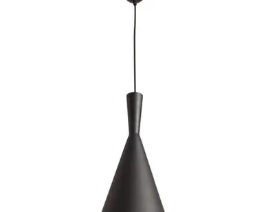 фото Подвесной светильник Arte Lamp CAPPELLO A3408SP-1BK