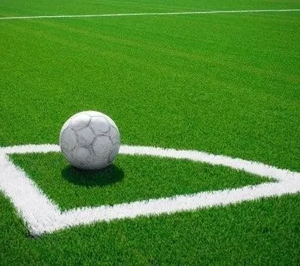 Фото №0 Искусственная трава (Турция)