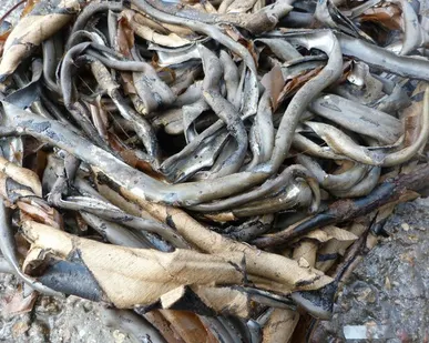 фото Свинец