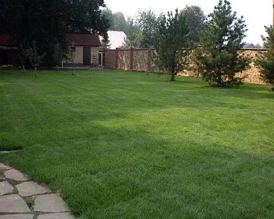 фото Стрижка газона