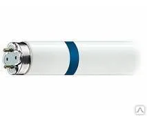 фото Осколкобезопасная лампа 40W (для WE-400-2)