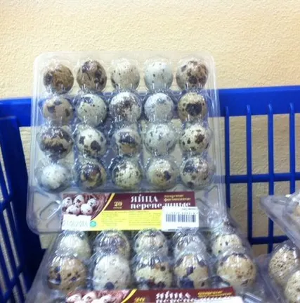 Фото №0 Тара для перепелиных  яиц на  (20)