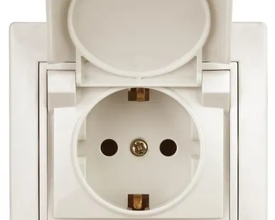 фото Розетка СП Plano 2P+E Schuko 1-203-02 16А-250В с крышкой IP20 сл. кость Intro Б0027612