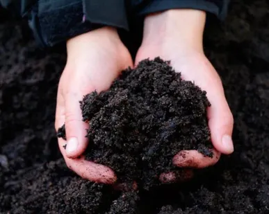 фото Продажа плодородного грунта