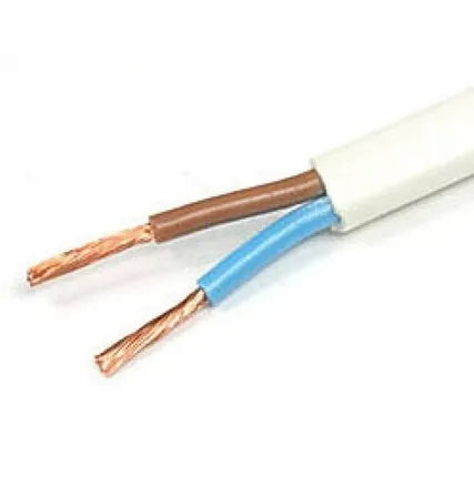 Фото №0 Провод ШВВП 2х0.75 Б 380В (бухта) (м) Промэл 4923180