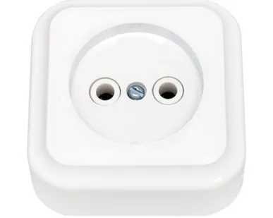 фото СВЕТОПРИБОР Розетка Пралеска 1 мест. б/з ОУ белая 16А 250В РА16-255 СВЕТОПРИБОР