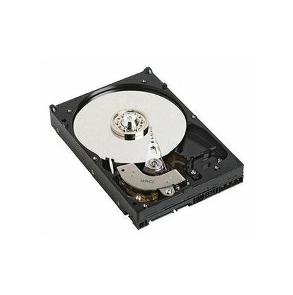 Фото №0 Жесткий диск DELL 400-24979