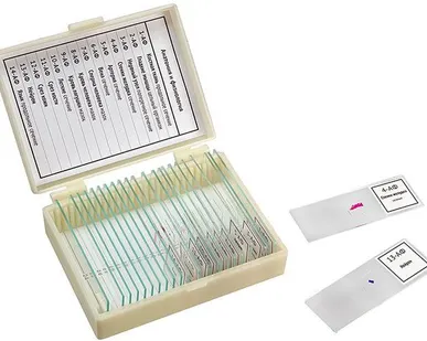 фото Набор препаратов «Анатомия и физиология» 14 образцов