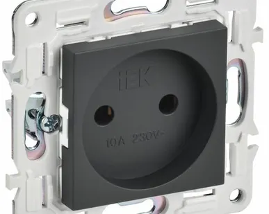 фото SKANDY Розетка без заземления без защитных шторок 10А SK-R02T титан IEK