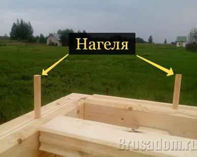 фото Нагель (шкант) Ф20 мм 25,5 см