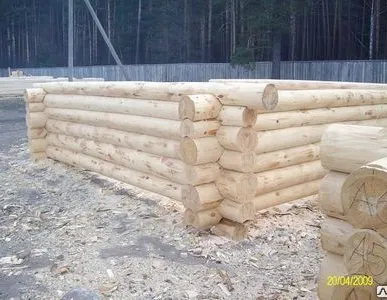 фото Зимние срубы