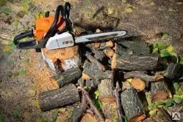 Фото №0 Спил деревьев