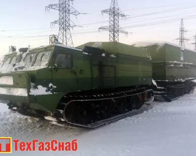 фото Витязь ДТ-10 П