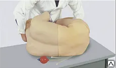 Фото №0 Модель для обучения люмбальной пункции