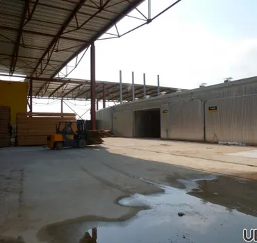 Раменский лес