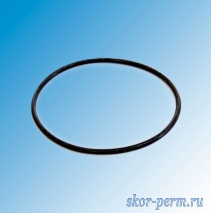 Фото №0 Уплотнительное кольцо D=90 для корпуса SL