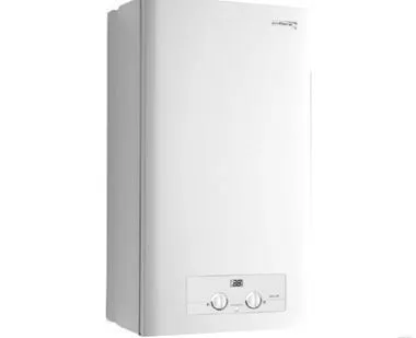 фото Котел газовый Protherm Ягуар 24 кВт