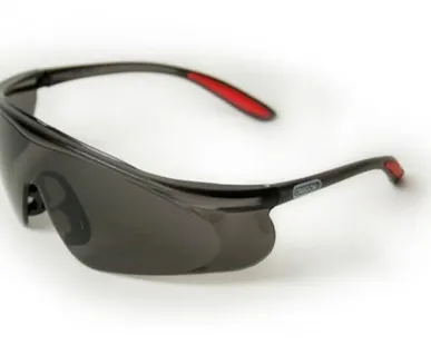 фото Очки защитные OREGON темные