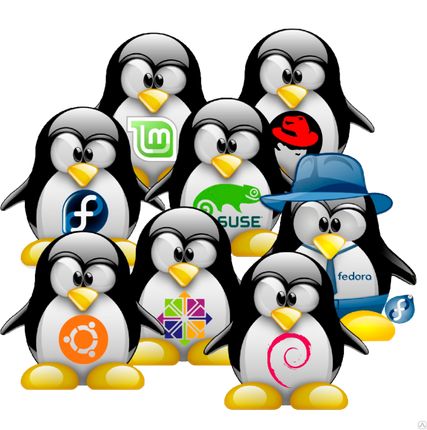 Фото №0 Операционные системы Linux до 100%