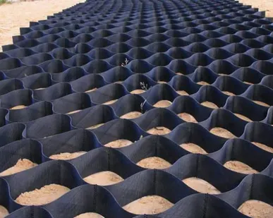 фото Георешетка