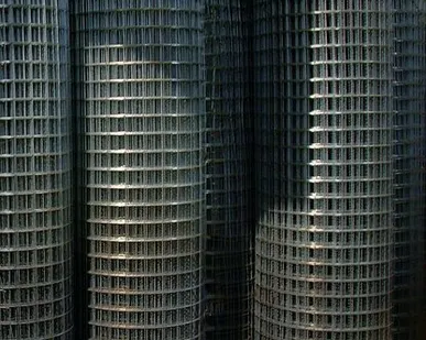 фото Сетка сварная 50х50 высота 1 метр