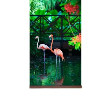 фото Инфракрасный плёночный