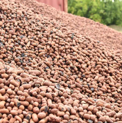 Фото №1 Керамзит фракция 10-20 (мкр)