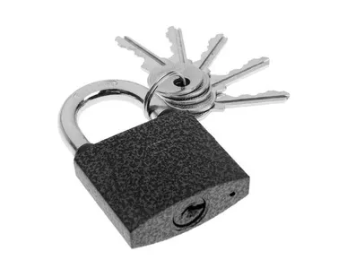 фото Замок навесной ВС1Ч-350 d=8мм АЛЛЮР