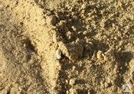 фото Песок речной, модуль крупности 2,0