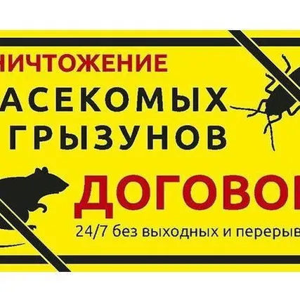 Фото №0 Уничтожение насекомых. Дезинсекция