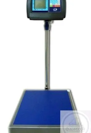 Фото №0 Весы товарные МИДЛ МП 300 МЖА Ф-2 50/100 450х600 Гулливер15